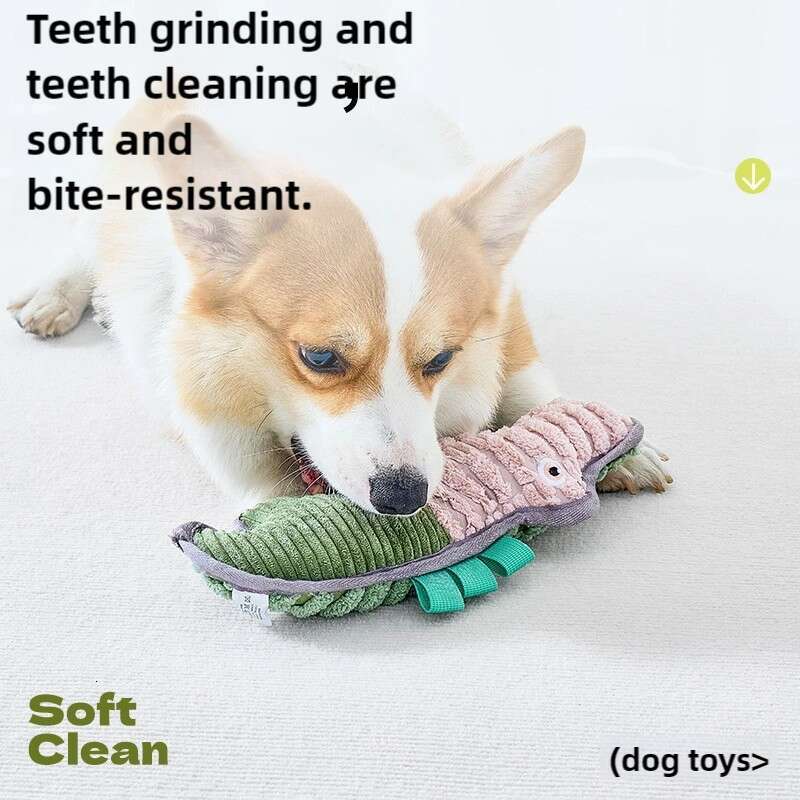 Fun Squeaky Dog Chew Toy, Durable Teething and Interactive Boredom Relief