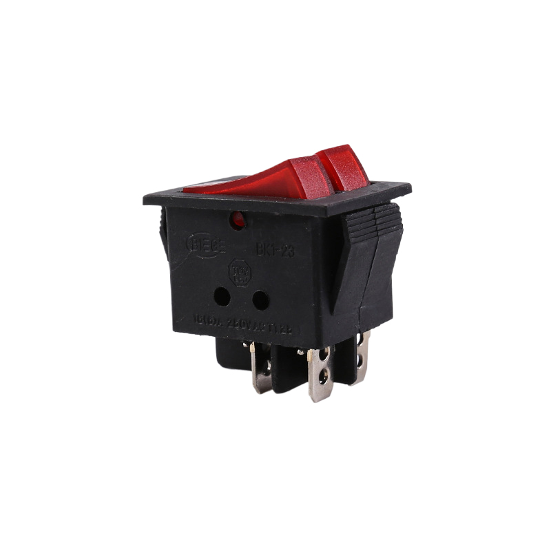 Supply Heater Accessories Switch RLKG203-2P Heater Switch Duplex Switch Heater Accessories