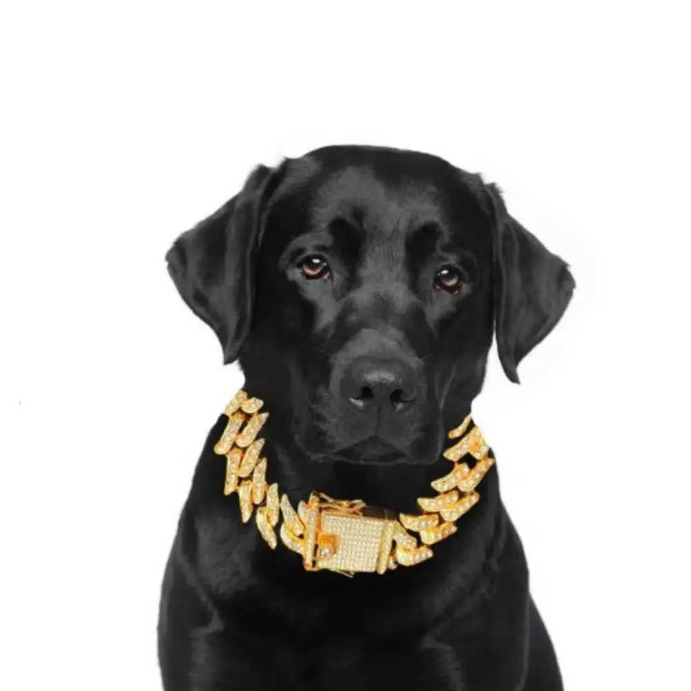 Luxury Designer Thorne Cat and Dog Collar Shining Diamond Cuban Chain Dog Necklace Gold Biological Color Pet Jewelry Accessories 16mm M250116