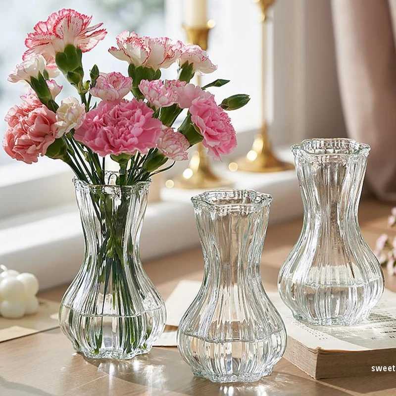 Vases Glass Transparent Flower Vase Retro Hydroponics Plants Pot Clear Flower Container Flowers Arrangement Bottle Table Decoration H250116