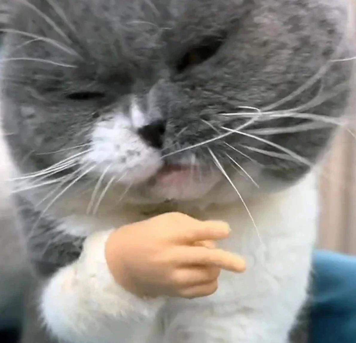 Cat Novelty Toys Teasing Cat TPR Soft Finger Gloves Funny Mini Hands Creative Finger Toys Fake Hand Cat Interactive Toys