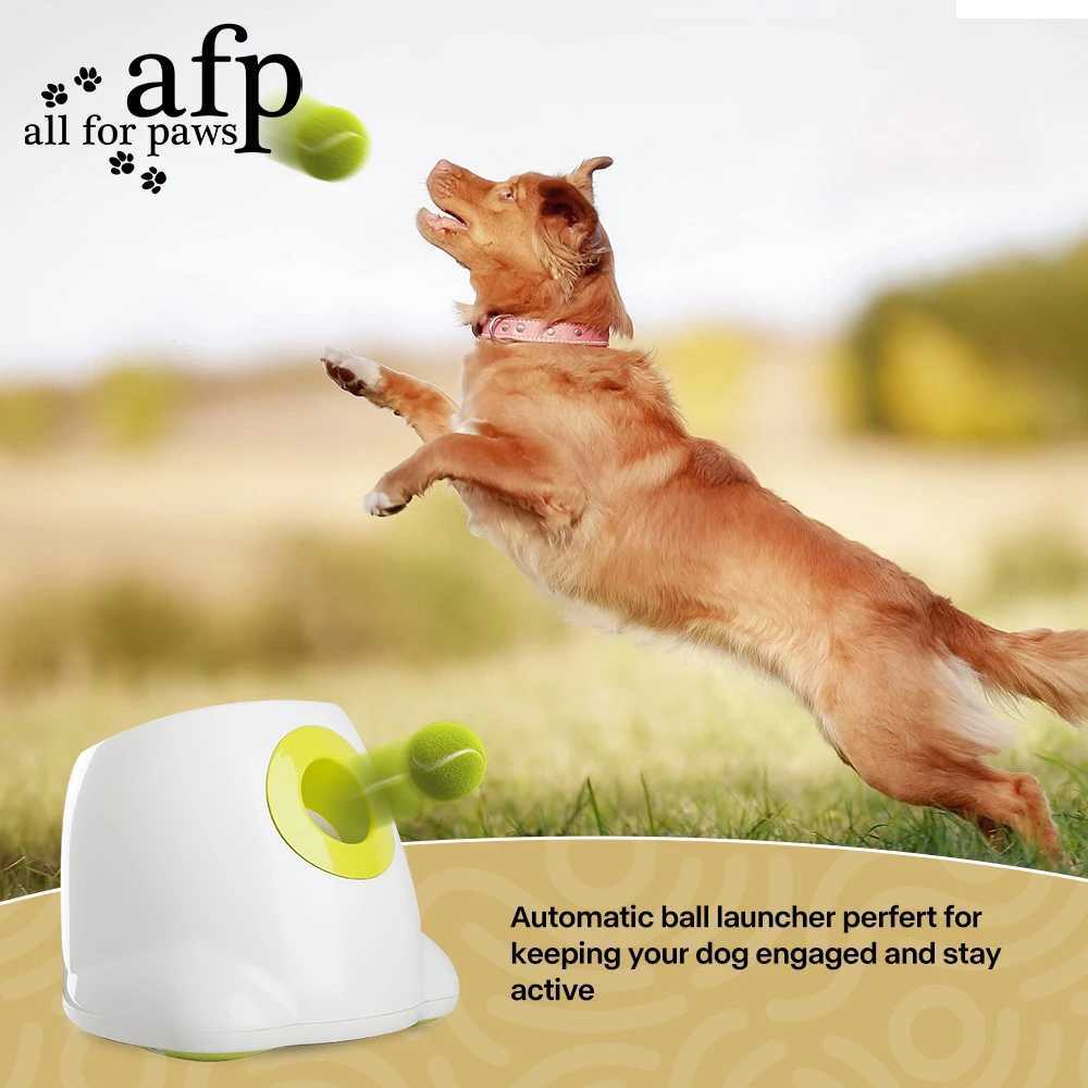 Others Dog Toys Chews AFP Autatic Ball Laun For Puppy Pet Dogs Interactive Toys Throwing hine Electric Thrower Dog Toy With 3 Tennis BallsT250117 H250