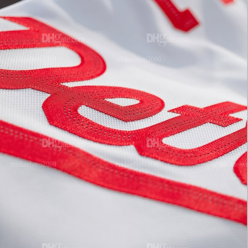 Personalized Custom Raymond 2025 Stadium Series Hockey Jersey Kane Veleno DeBrincat Seider Talbot Embroidered Letter Number Design Polyester