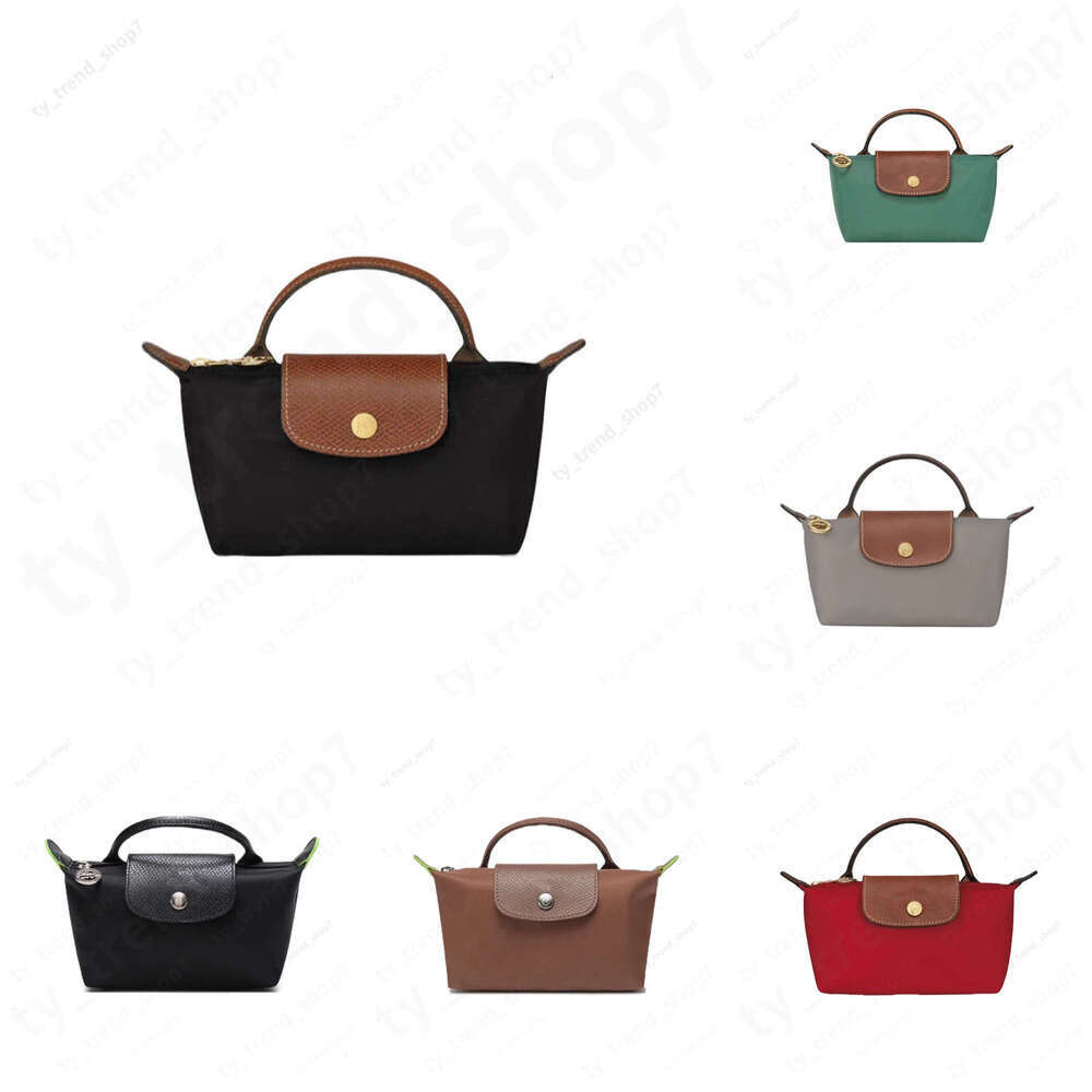 Evening long Bags Mini Handbag le pliages champes bag large Spring Autumn Versatile Fashion Niche Designer Casual champe Bag Womens Purses Handbags mini bag