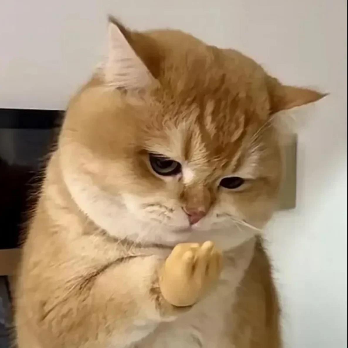 Cat Novelty Toys Teasing Cat TPR Soft Finger Gloves Funny Mini Hands Creative Finger Toys Fake Hand Cat Interactive Toys