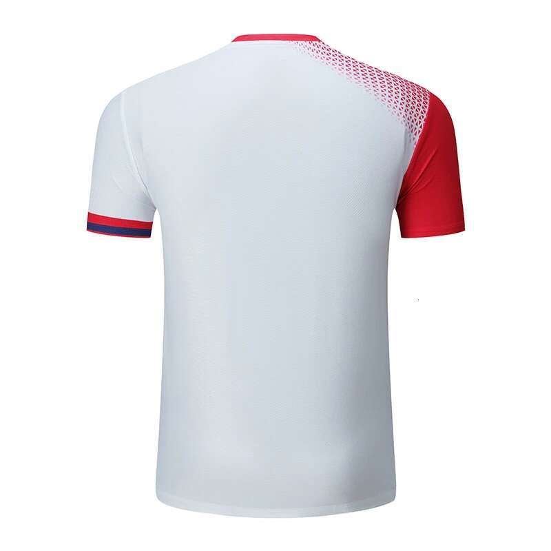 Ddmyoutdoor China Domestic Badminton Shirt Men Running Gym V Neck D Print Short Sleeve Team Game Custom Quick Dry Tennis Tee Sports Golf Pingpong Shir