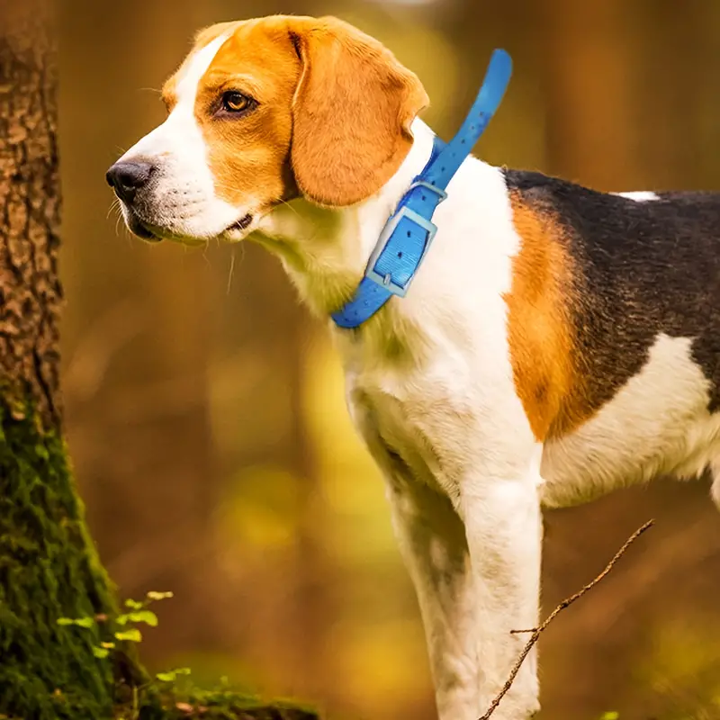 Sleek TPU Hound Locator Collar - Perfect Fit for Pursuit Enthusiasts