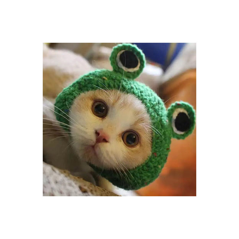 Cute Refined Cat Hat Elastic Autumn Winter Pet Hat Puppy Kittens Knitted Hat Party Photo Shoot Props Decoration Cat Accessories