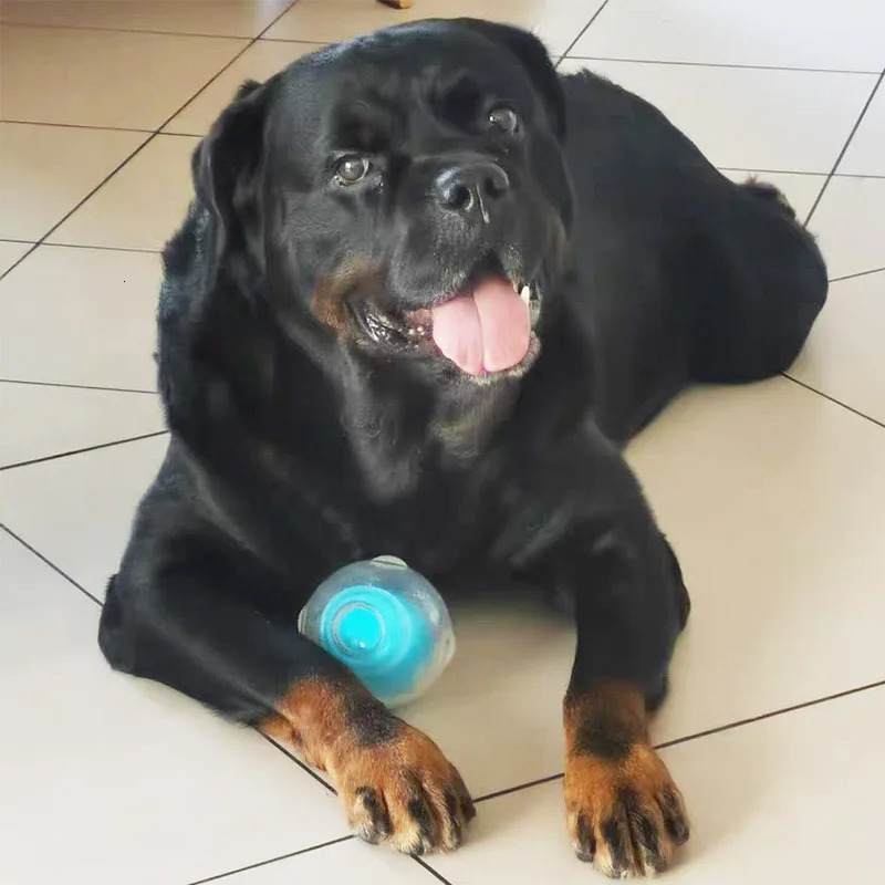CAITEC Dog Toy Amazing Squeaker Ball Durable Floatable Springy Bite Resistant for Tossing Chasing Foraging Medium Large 250115