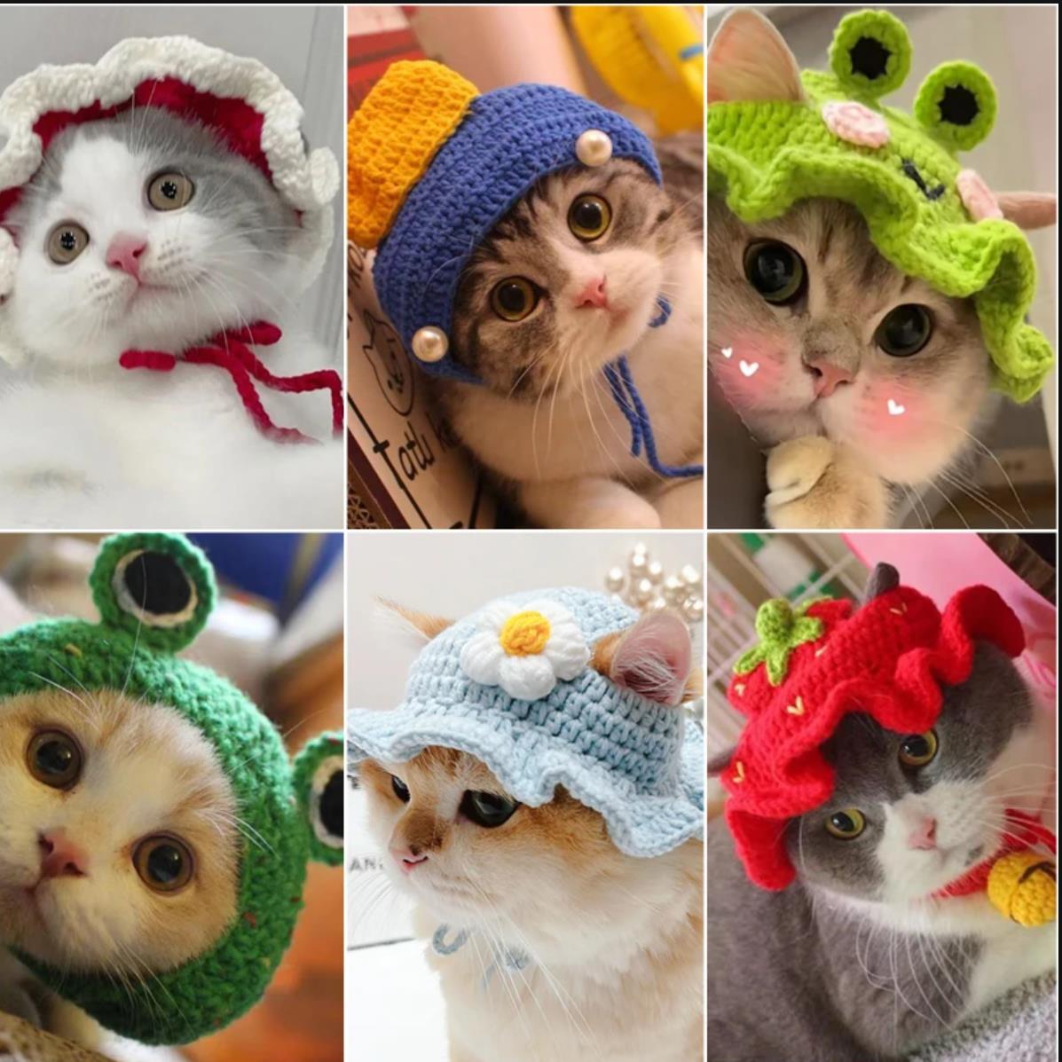 Cute Refined Cat Hat Elastic Autumn Winter Pet Hat Puppy Kittens Knitted Hat Party Photo Shoot Props Decoration Cat Accessories