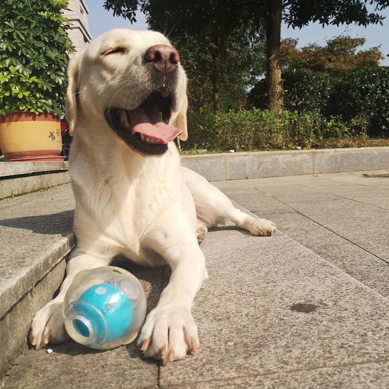 CAITEC Dog Toy Amazing Squeaker Ball Durable Floatable Springy Bite Resistant for Tossing Chasing Foraging Medium Large 250115