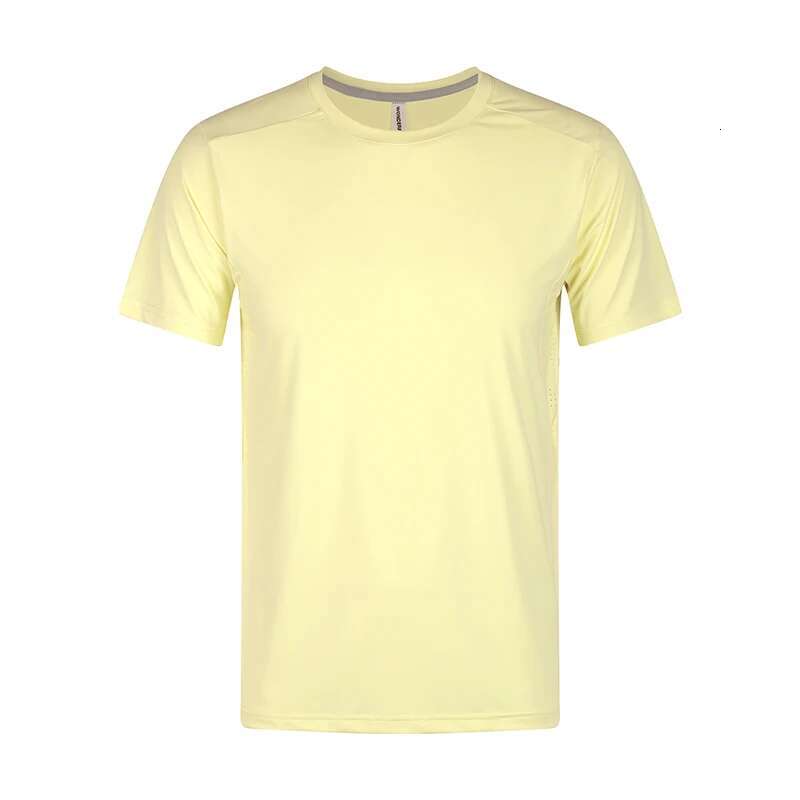 Ddmyoutdoor China Domestic Solid Nylon Sleeve Breathable Traning High Quality Sports Bodybuilding Fiess Tshirt Man Jogging Workout Short Sleeves