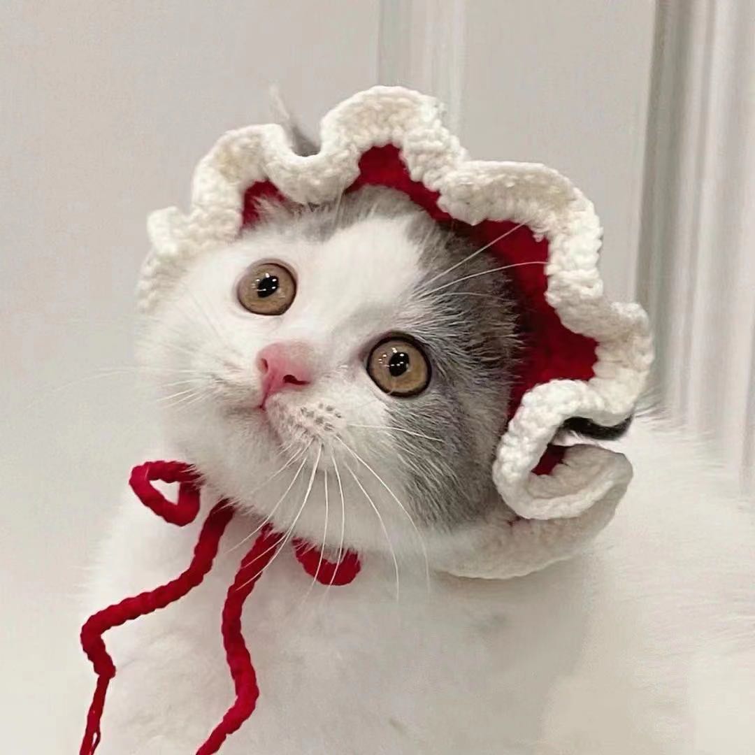 Cute Refined Cat Hat Elastic Autumn Winter Pet Hat Puppy Kittens Knitted Hat Party Photo Shoot Props Decoration Cat Accessories
