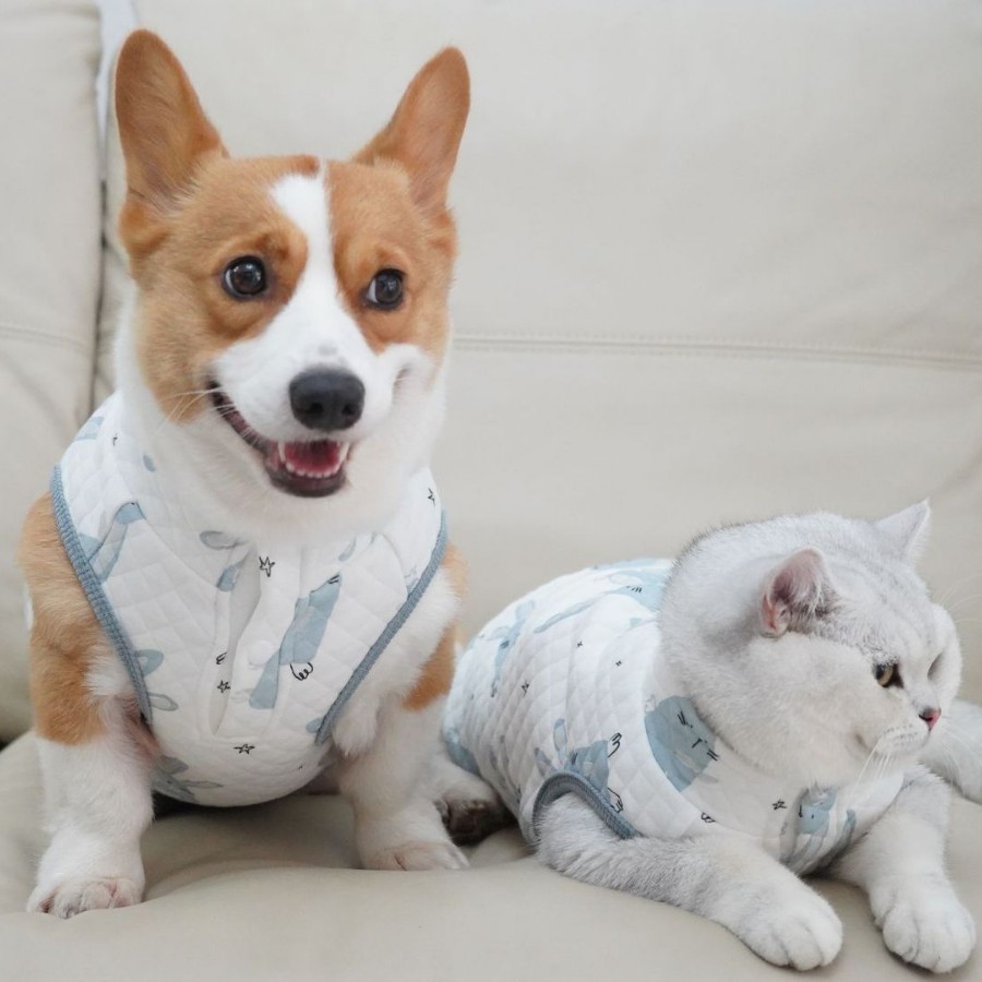 Pets it cat cat clothes fall and winter pet home wear vest Devon silver gradient cat clothes undershirt clip cotton thickening