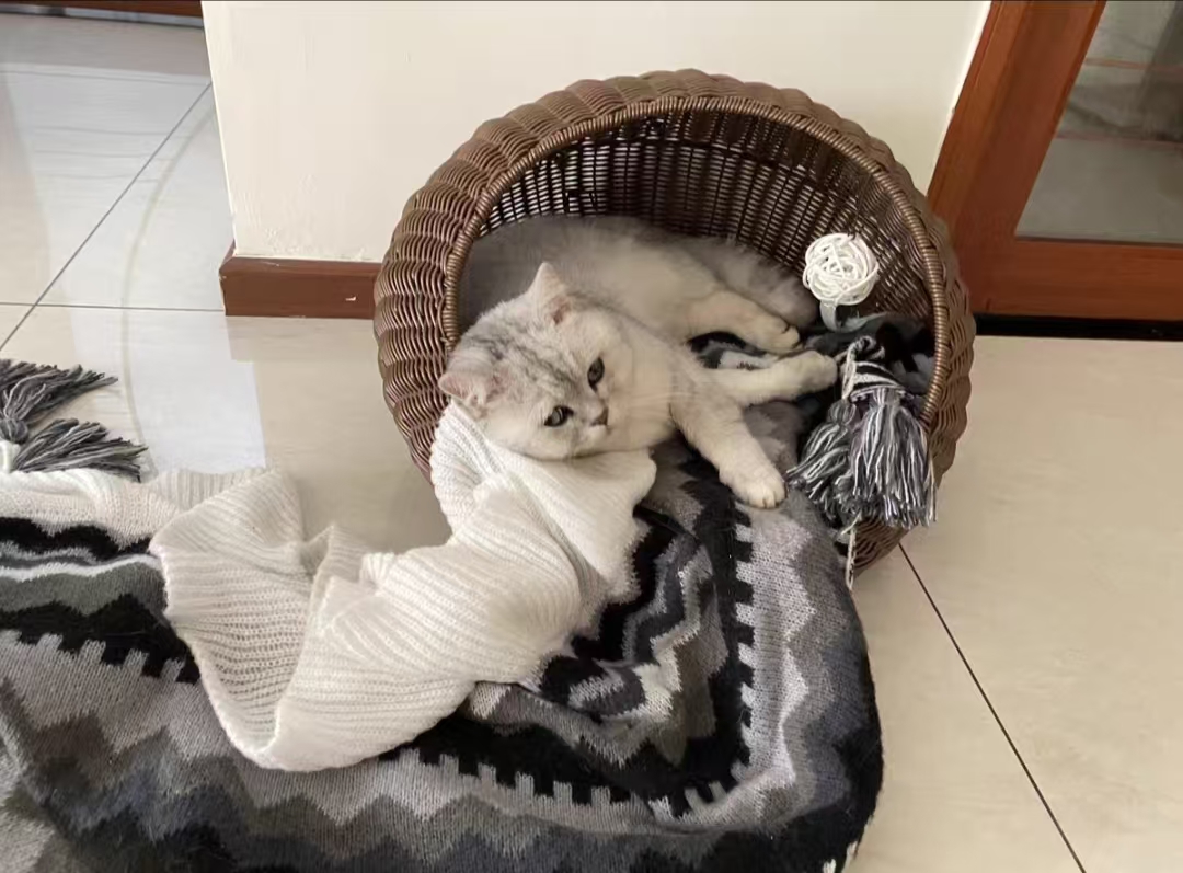 Wicker cat bed dome suitable for medium-sized indoor cats a covered cat hiding hut imitation Fujiya pet dome basket, washable