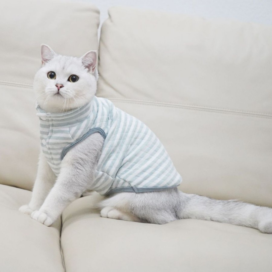 Pets it cat cat clothes fall and winter pet home wear vest Devon silver gradient cat clothes undershirt clip cotton thickening