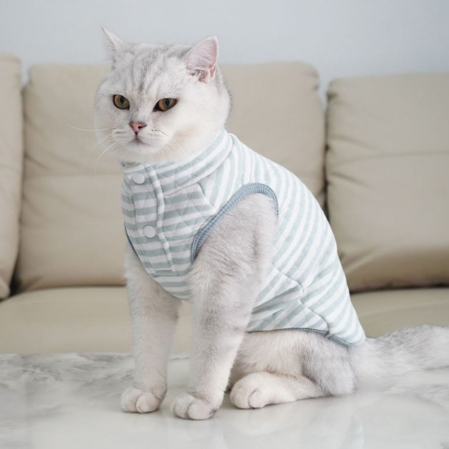 Pets it cat cat clothes fall and winter pet home wear vest Devon silver gradient cat clothes undershirt clip cotton thickening