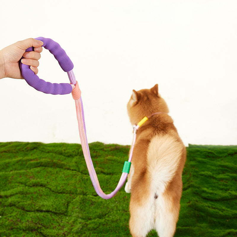 Dog leash, slip rope, medium-sized dog explosion-proof punching chain, anti slip pet supplies