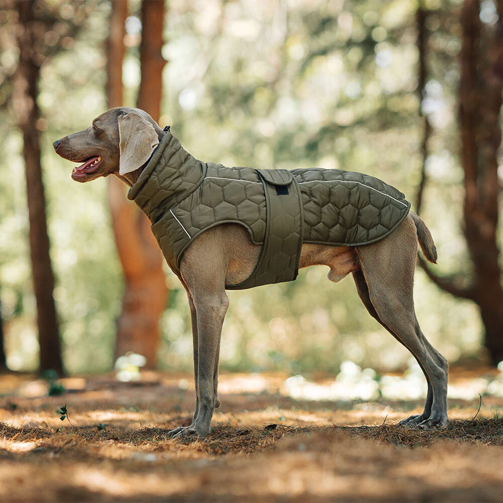 New Autumn and Winter Dog Thickened Warm Outdoor Cotton Vest, Universal Fit, In-Stock for Quick Delivery