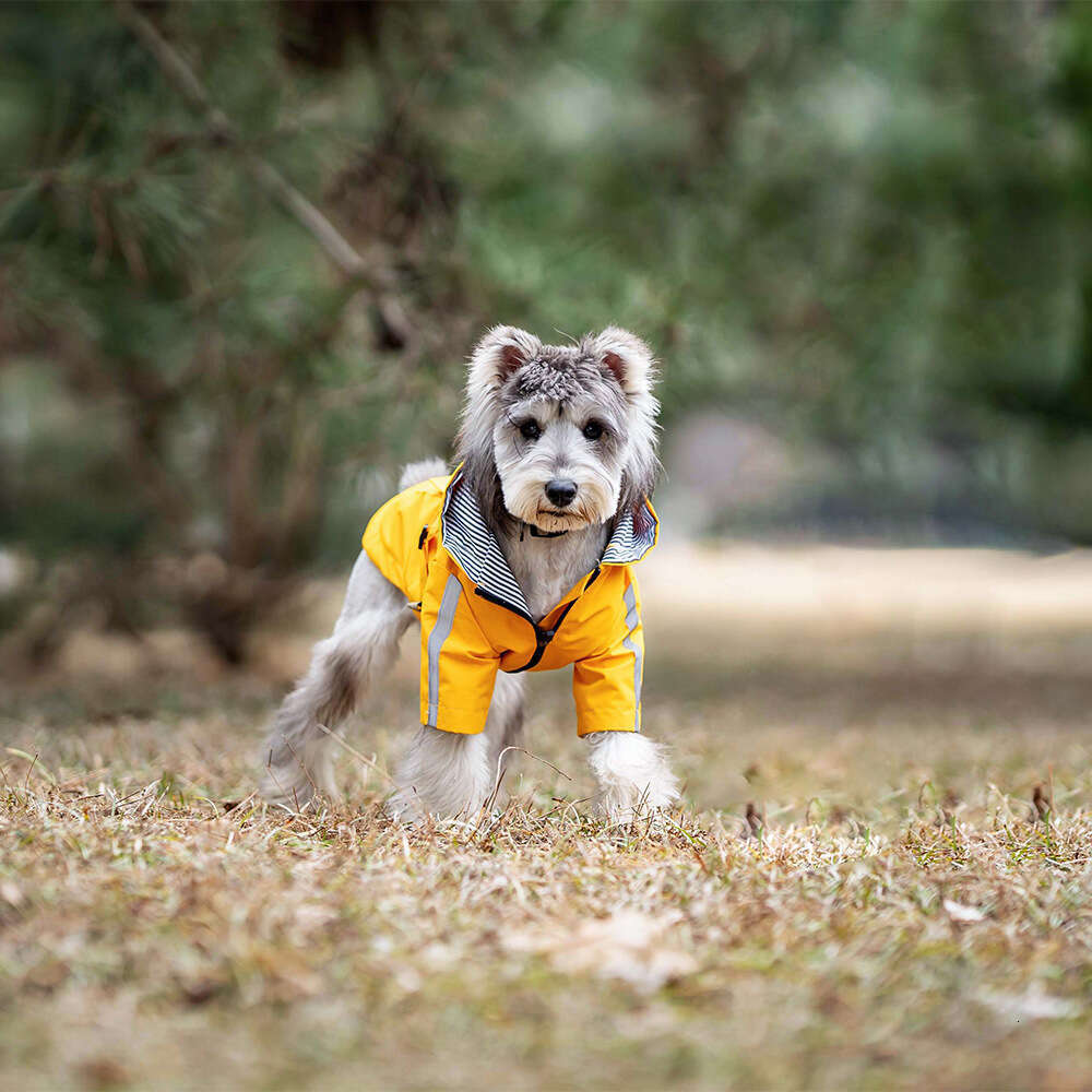 British Style Waterproof Pet Raincoat, All-Season Dog Coat, Outdoor Windproof and Rainproof Fashion Pet Clothing