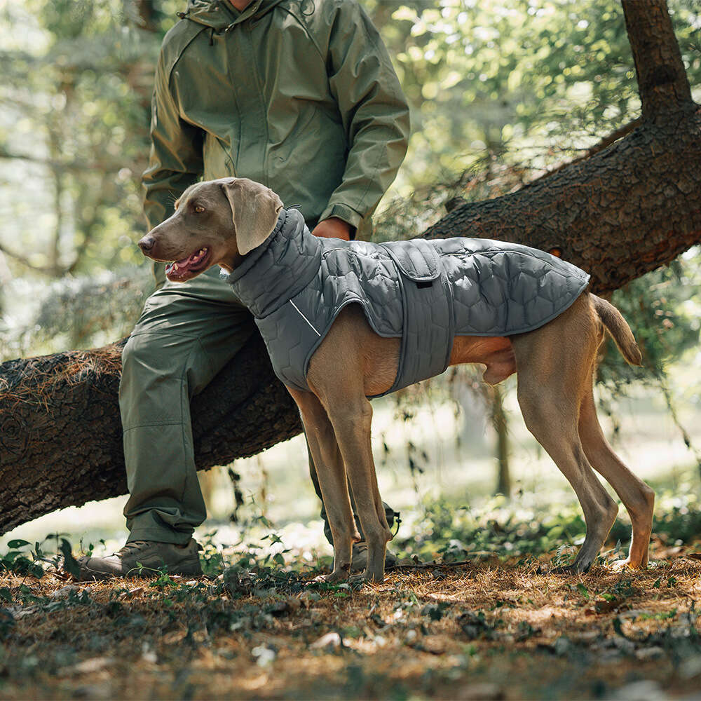 New Autumn and Winter Dog Thickened Warm Outdoor Cotton Vest, Universal Fit, In-Stock for Quick Delivery