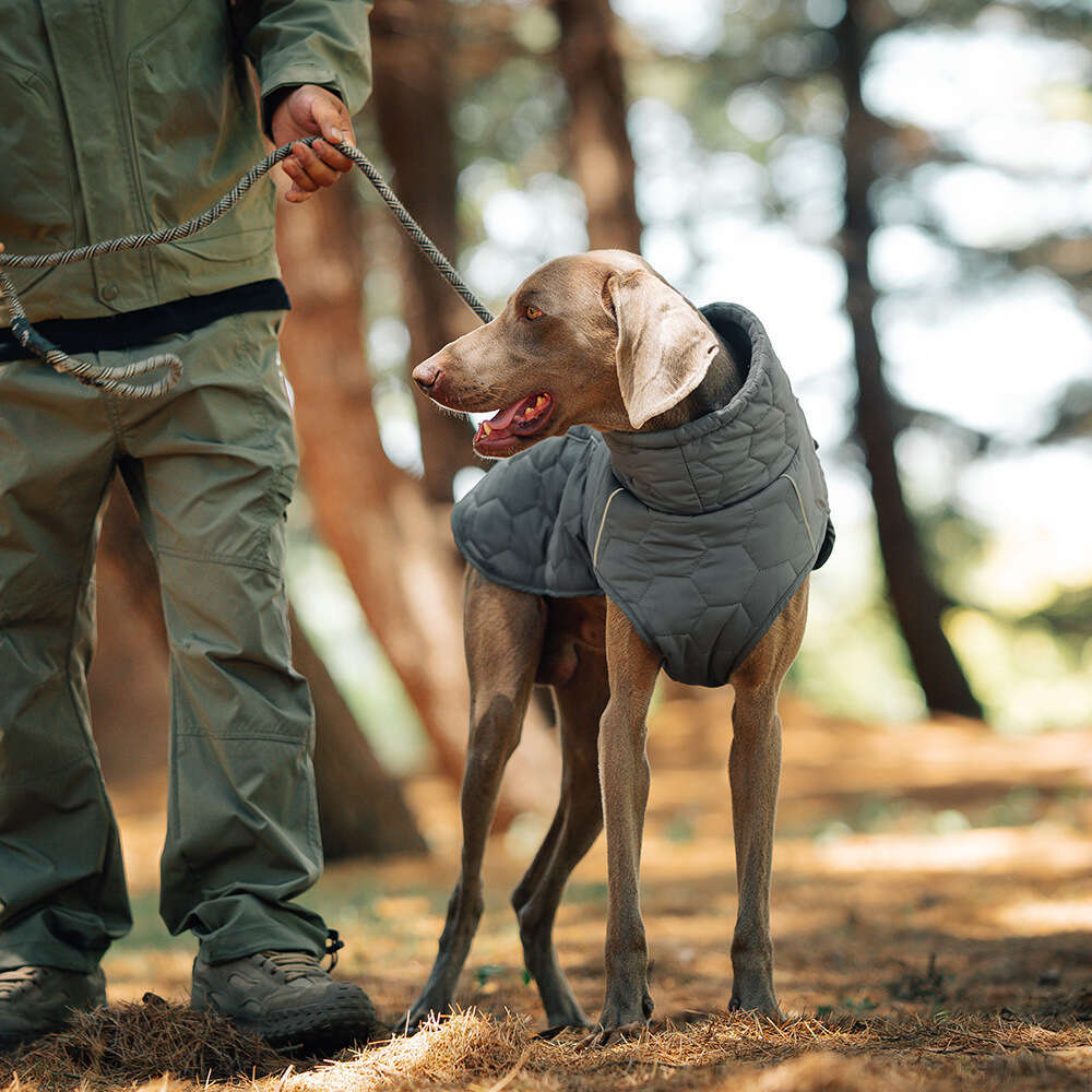 New Autumn and Winter Dog Thickened Warm Outdoor Cotton Vest, Universal Fit, In-Stock for Quick Delivery
