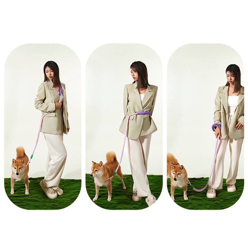 Dog leash, slip rope, medium-sized dog explosion-proof punching chain, anti slip pet supplies