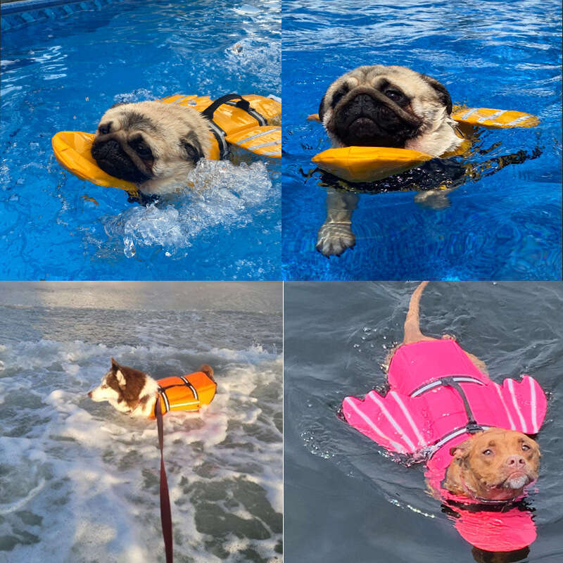 New Reflective Pet Life Jacket, Outdoor Dog Swimsuit with Angel Wings, Summer Dog Life Vest
