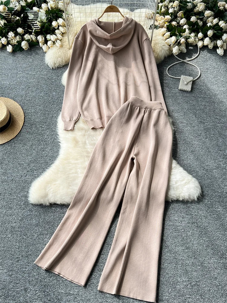 SINGREINY Lazy Casual Knit Two Pieces Set Women Autumn Winter Long Sleeve 3D Texture Printed HoodiesDrawstring Pants 2pcs Suits 250113