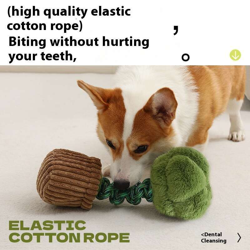 Durable Chew Rope Toy - Creative Vegetable-Shaped Squeaky Dog Toy, Boredom Buster