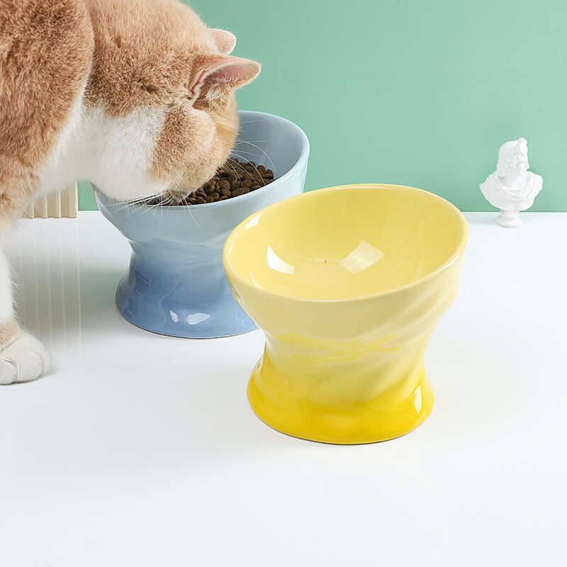 Tilted Cat Food Bowl - Whisker Friendly, Anti Vomiting, Slanted, Cat Bowl, Blue