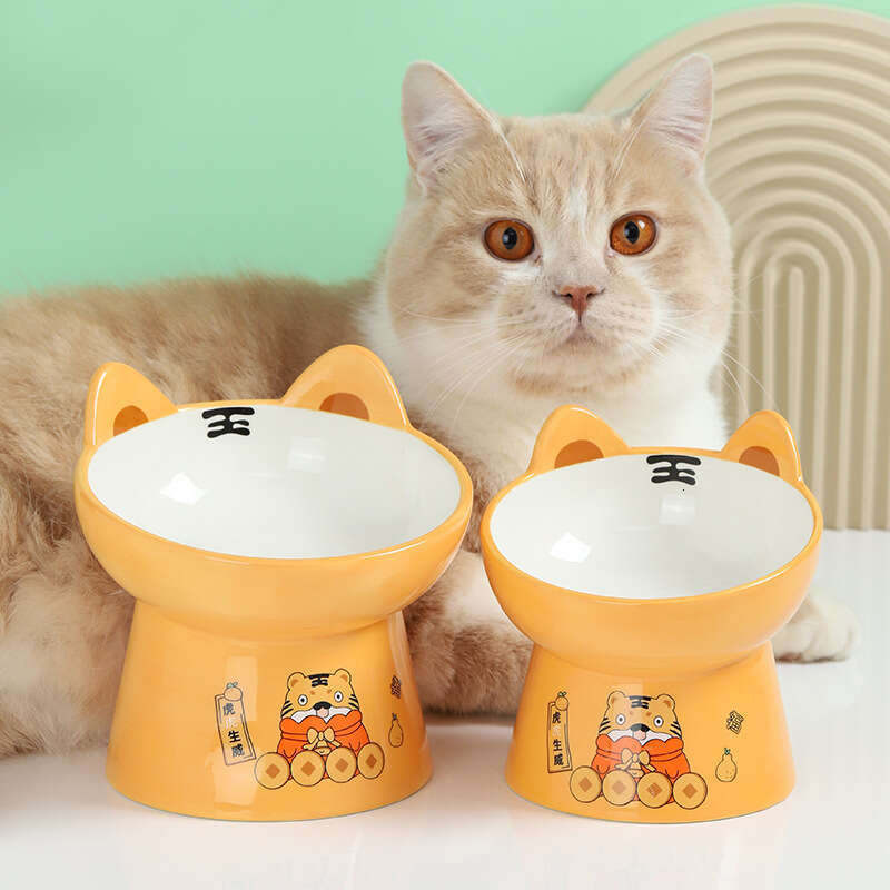 Tilted Cat Food Bowl - Whisker Friendly, Anti Vomiting, Slanted, Cat Bowl, Orange