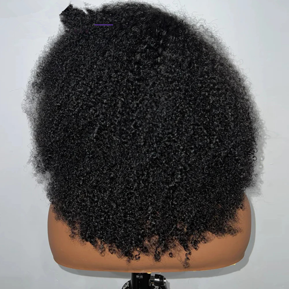 Hd 4b 4c Afro Kinky Curly Wig With 4c Kinky Edges 130 Density full Lace Front Human Hair Wig Curly brazilian natural raw Hair Wigs Pre-Plucked Lace Fr