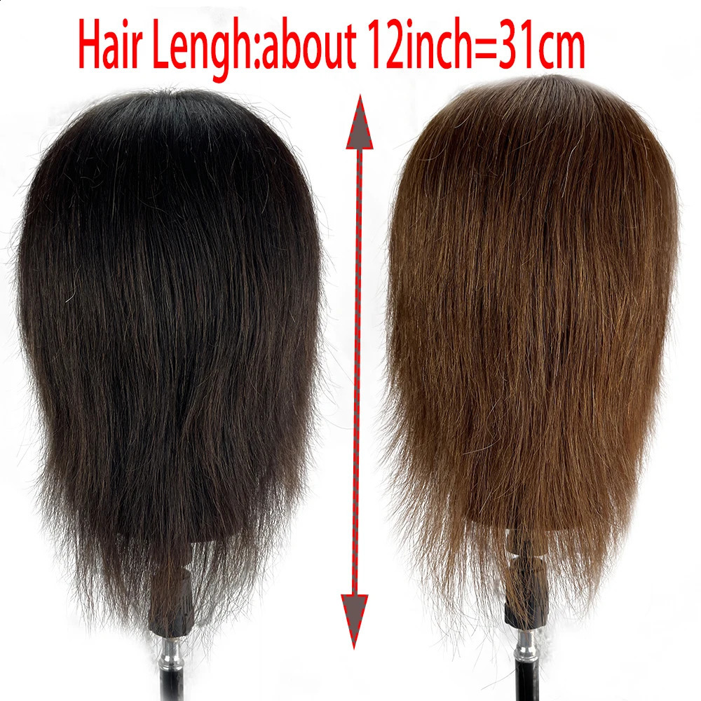 Male Mannequin Head With Human Hair Black For Practice Hairdresser Cosmetology Training Doll Head For Hair Styling 250114