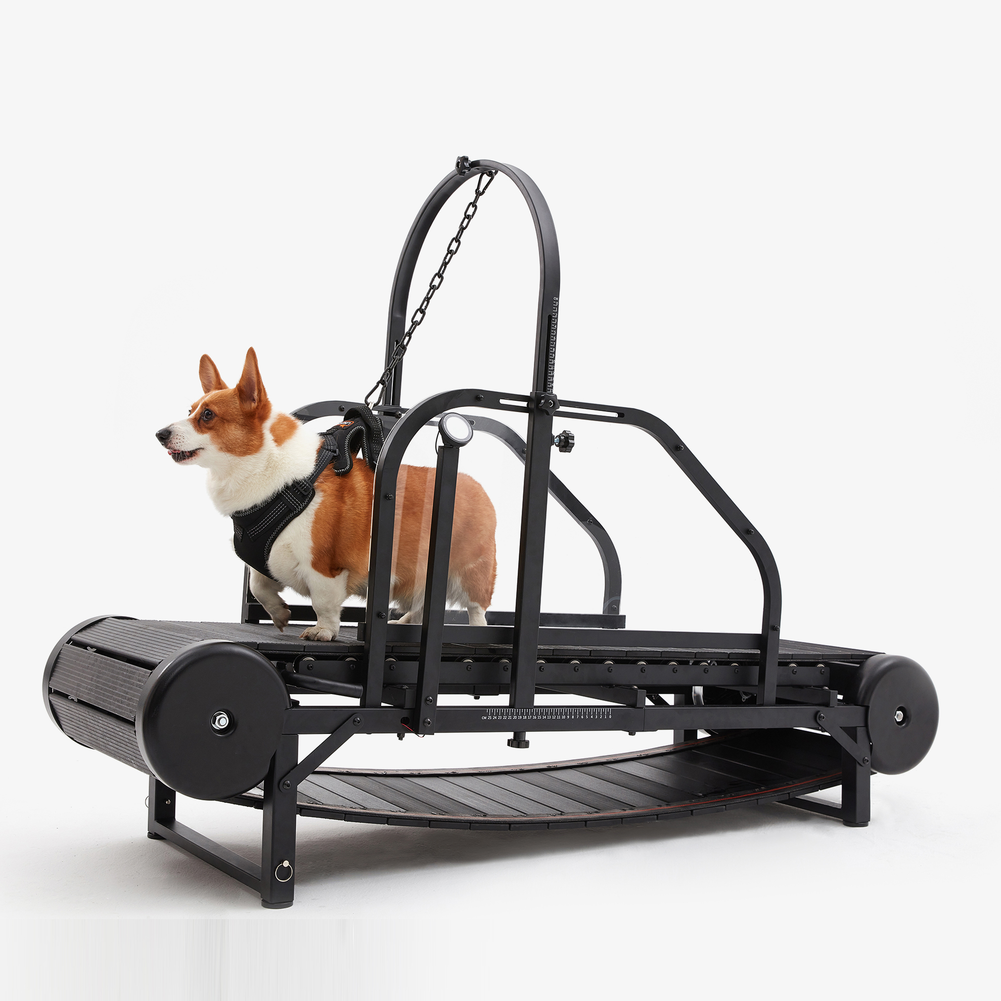 Larger Non-electric Equipment Dog Apparel Heavy Duty Running Fiess Treadmill Walking hines Unpowered Run Pet Dogs
