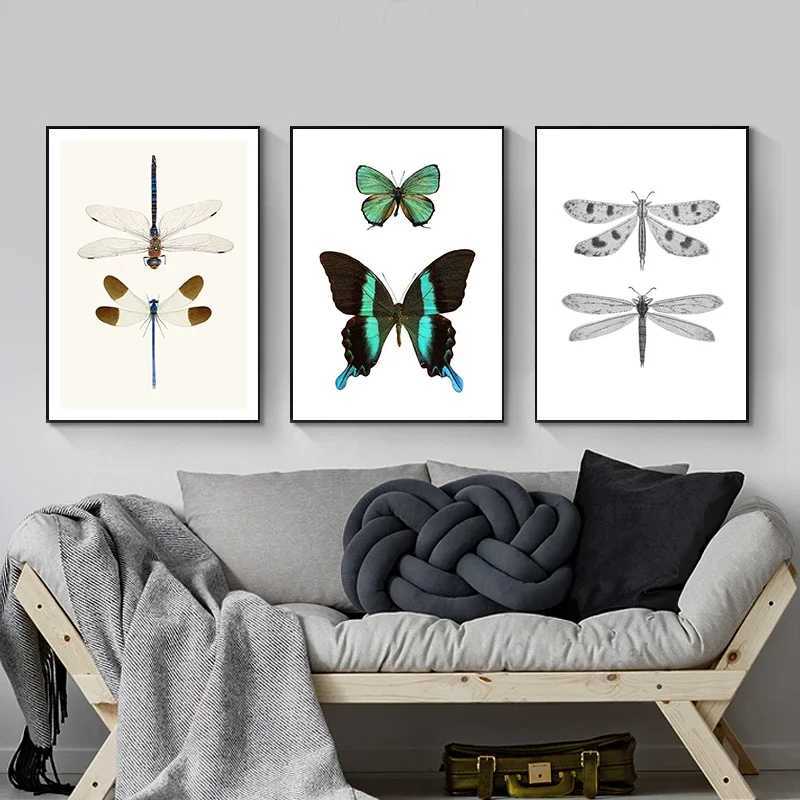 Retro moth natural insect poster printing canvas painting educational picture wall art ro children ro decoration Y250122