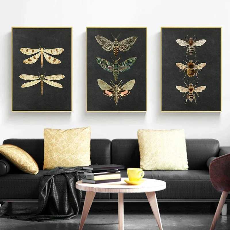 Retro moth natural insect poster printing canvas painting educational picture wall art ro children ro decoration Y250122