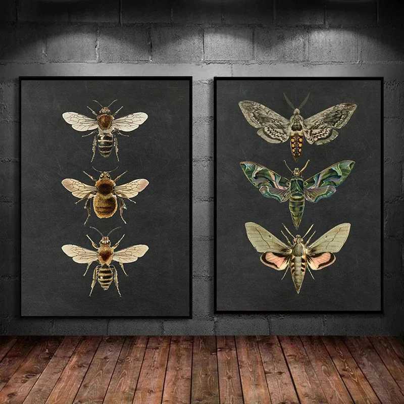 Retro moth natural insect poster printing canvas painting educational picture wall art ro children ro decoration Y250122