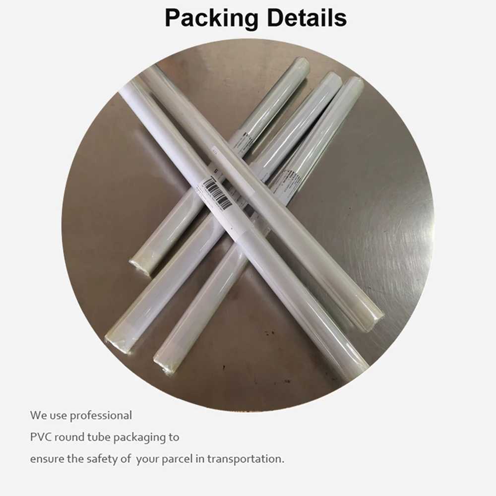 The World is Your Movie Poster Scar Face Tony Montana Painting Wall Art Canvas Printing Decoration Y250122