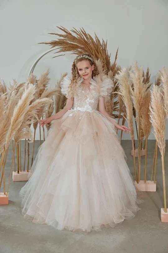 Champagne Wer For Weddings Ball Gown Scoop Tulle Appliques Long First Communion Dresses Little Girl Customized 6660311