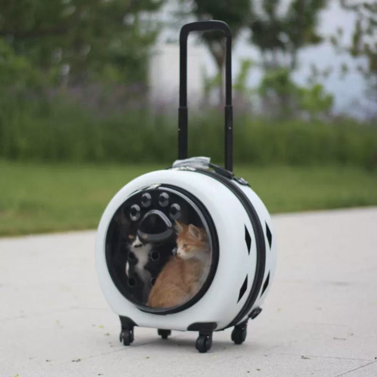 Pet suitcase, transparent cat bag, portable outdoor box, cat and dog bag cart, small pet suitcase