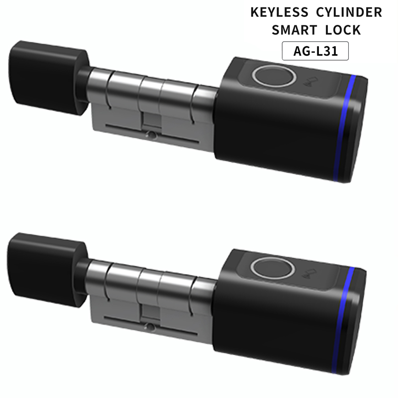 Door Home Fingerprint Biometric Bedroom Lock Tuya APP Control Cyder Smart Locks IC Cards Key Unlock High Security Automatic Locking