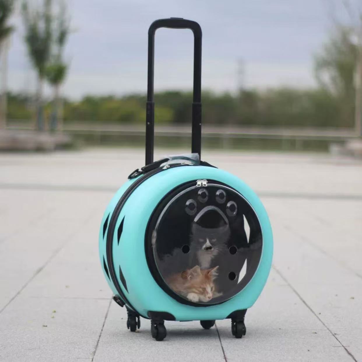 Pet suitcase, transparent cat bag, portable outdoor box, cat and dog bag cart, small pet suitcase