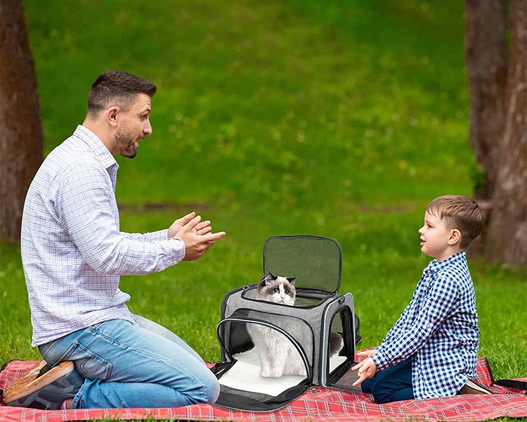 Airline Approved Pet Carrier, Large Soft Sided Pet Travel 4 Sides Expandable Cat Collapsible Carrier with Removable Fleece Pad and for Cats Dogs and S