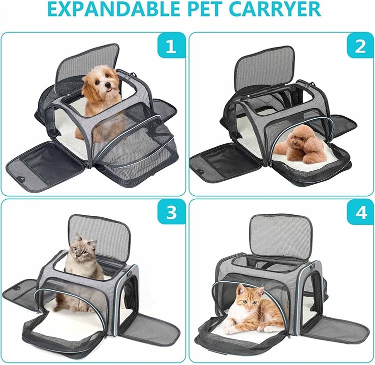 Airline Approved Pet Carrier, Large Soft Sided Pet Travel 4 Sides Expandable Cat Collapsible Carrier with Removable Fleece Pad and for Cats Dogs and S
