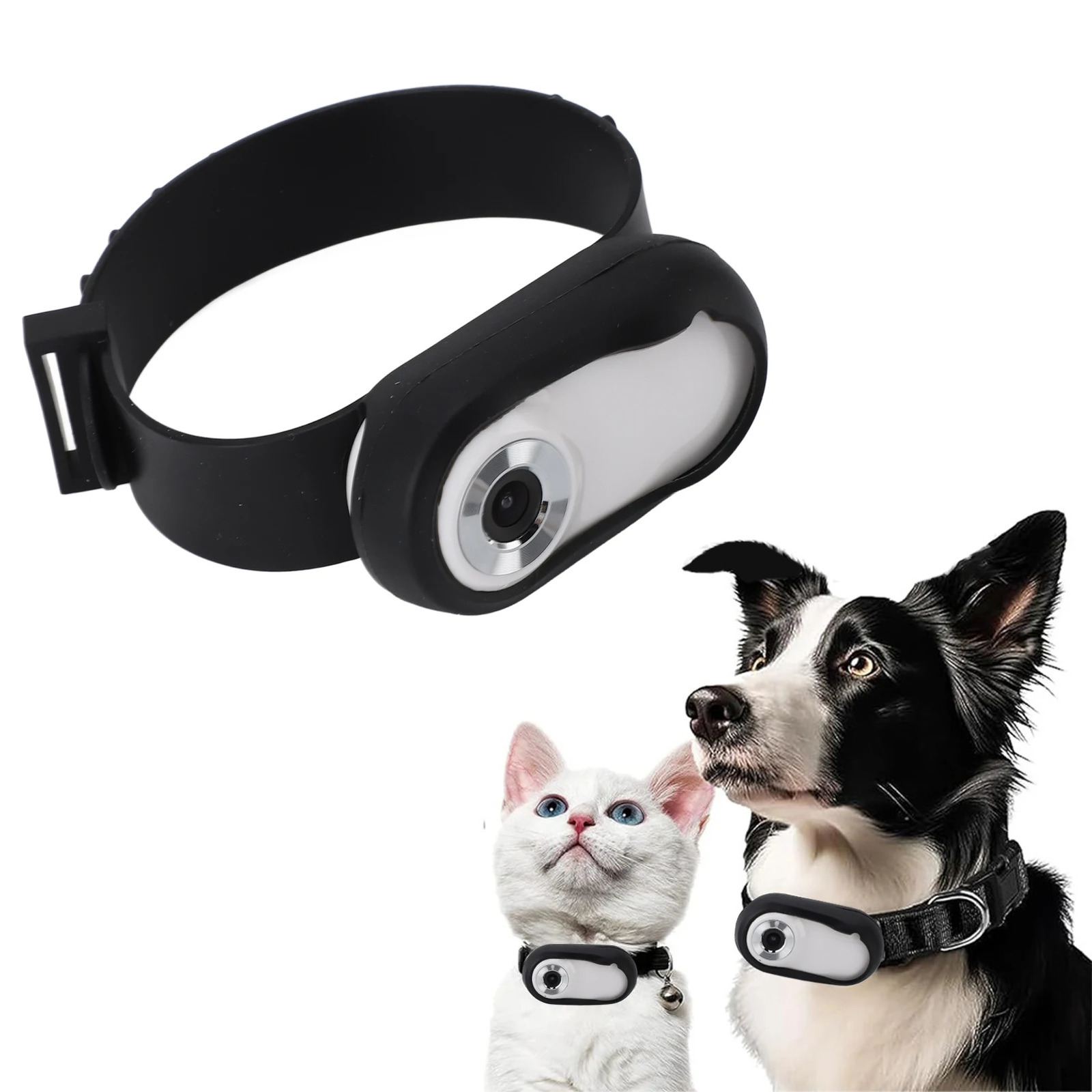 Callare PET Collar PET USB USB Ricaricabile Ricaricabile HD 1080P Display LCD L…