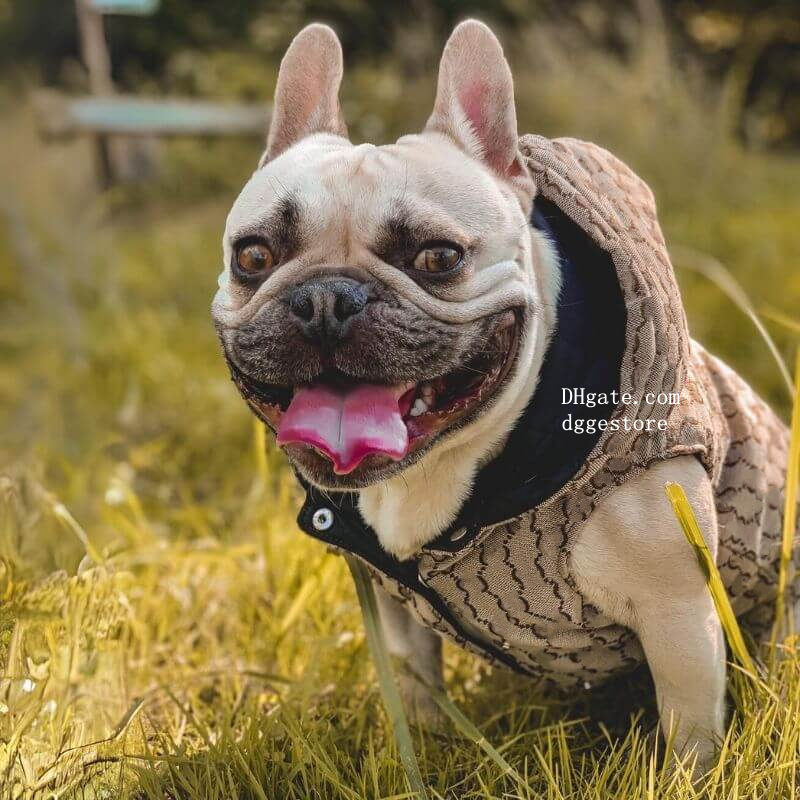 free shipping Designer Clothes Coats Pets Winter ets Puppy Hoodie Warm Padded Pet Snow Vests Dog Outdoor Lightweight Small Dogs et XXXL Khaki A414