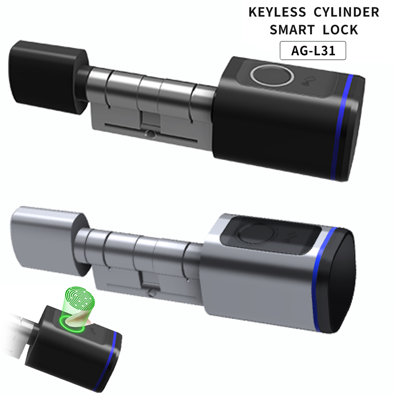 Door Home Fingerprint Biometric Bedroom Lock Tuya APP Control Cyder Smart Locks IC Cards Key Unlock High Security Automatic Locking