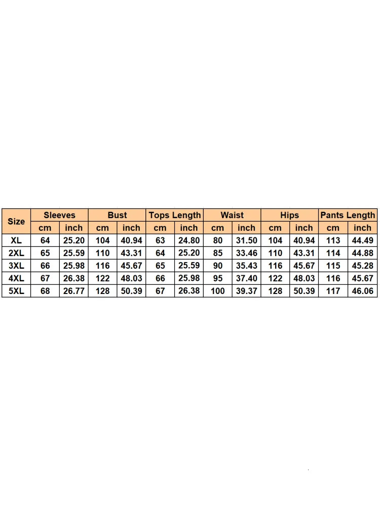 2 Pieces Set Sexy Plus Size Spring Autumn Fashion Women Female Tops Long Sleeve Shirt And Pants Suit Matching Outfit 250122