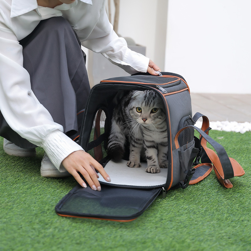 Pet carrier for large cats over 15 LBS Soft side small dog travel carrier Foldable carrying bag Sturdy transport carrier for long distance travel medi